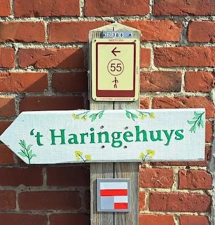 't Haringehuys Dom wakacyjny *